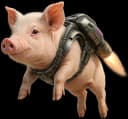 Privacy Pete, Data Protection Pig